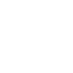 Queen Mary Economics Society